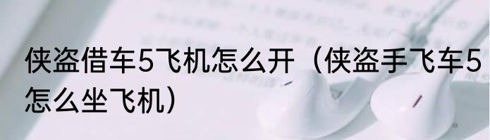 侠盗借车5飞机怎么开（侠盗手飞车5怎么坐飞机）