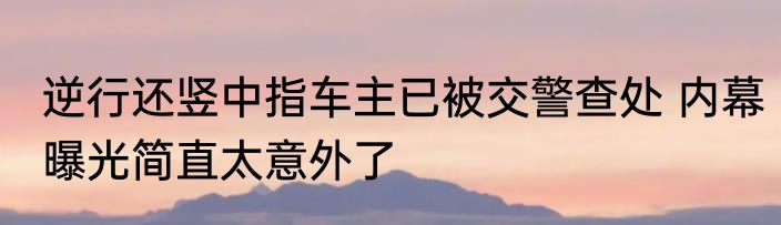 逆行还竖中指车主已被交警查处 内幕曝光简直太意外了