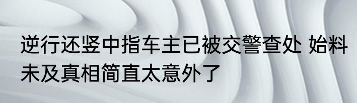 逆行还竖中指车主已被交警查处 始料未及真相简直太意外了