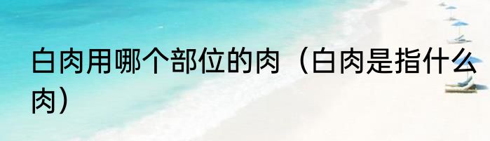 白肉用哪个部位的肉（白肉是指什么肉）