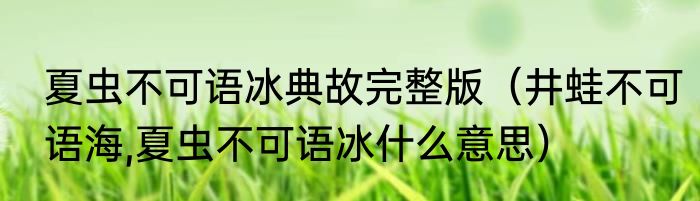 夏虫不可语冰典故完整版（井蛙不可语海,夏虫不可语冰什么意思）