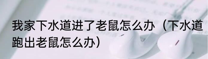 我家下水道进了老鼠怎么办（下水道跑出老鼠怎么办）