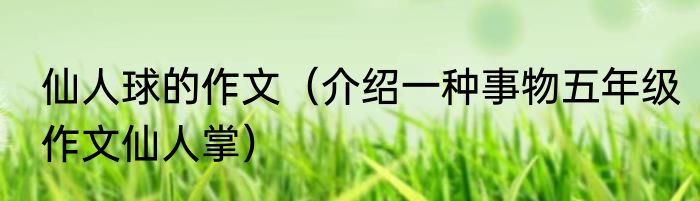仙人球的作文（介绍一种事物五年级作文仙人掌）