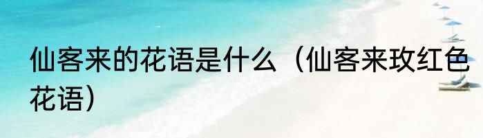 仙客来的花语是什么（仙客来玫红色花语）