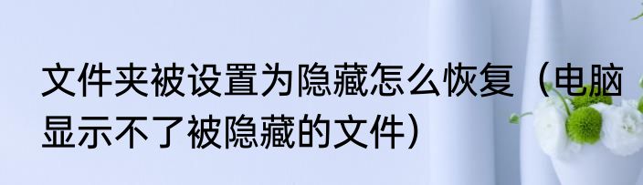 文件夹被设置为隐藏怎么恢复（电脑显示不了被隐藏的文件）