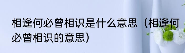 相逢何必曾相识是什么意思（相逢何必曾相识的意思）