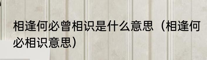 相逢何必曾相识是什么意思（相逢何必相识意思）