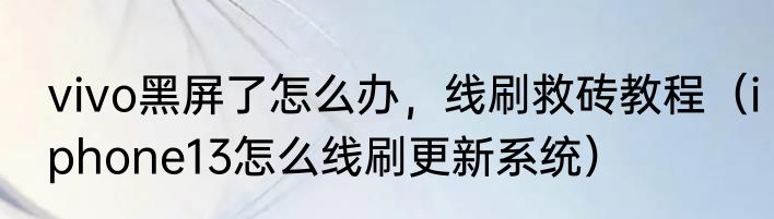 vivo黑屏了怎么办，线刷救砖教程（iphone13怎么线刷更新系统）