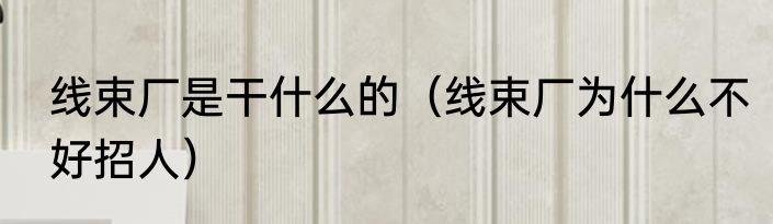 线束厂是干什么的（线束厂为什么不好招人）