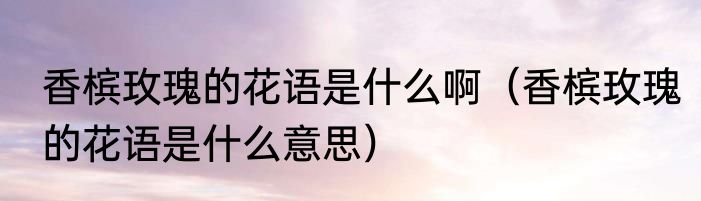 香槟玫瑰的花语是什么啊（香槟玫瑰的花语是什么意思）