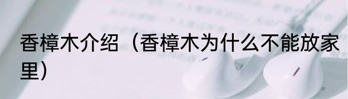 香樟木介绍（香樟木为什么不能放家里）