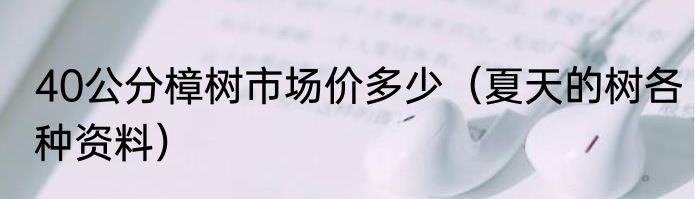 40公分樟树市场价多少（夏天的树各种资料）