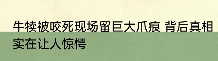 牛犊被咬死现场留巨大爪痕 背后真相实在让人惊愕