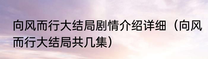 向风而行大结局剧情介绍详细（向风而行大结局共几集）