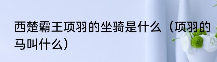 西楚霸王项羽的坐骑是什么（项羽的马叫什么）