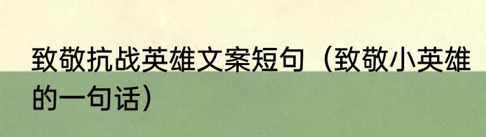 致敬抗战英雄文案短句（致敬小英雄的一句话）