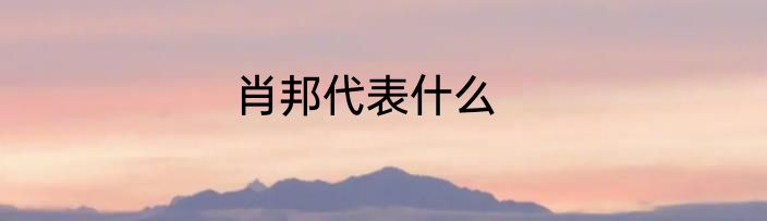 肖邦代表什么