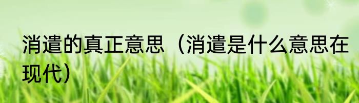 消遣的真正意思（消遣是什么意思在现代）