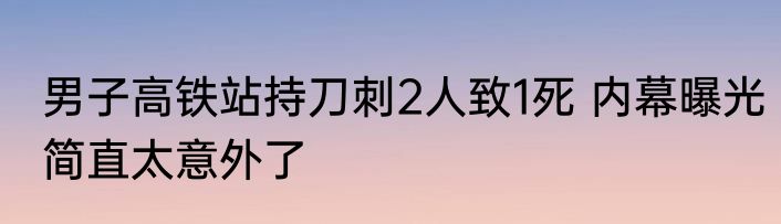 男子高铁站持刀刺2人致1死 内幕曝光简直太意外了
