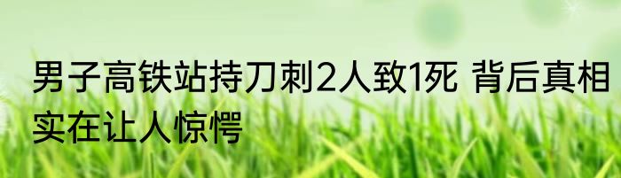 男子高铁站持刀刺2人致1死 背后真相实在让人惊愕