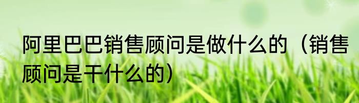 阿里巴巴销售顾问是做什么的（销售顾问是干什么的）