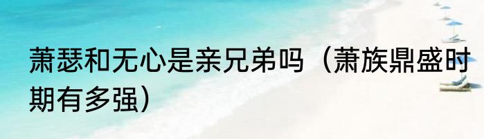 萧瑟和无心是亲兄弟吗（萧族鼎盛时期有多强）
