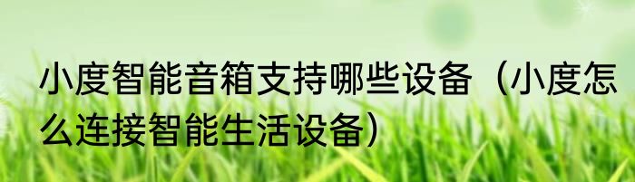 小度智能音箱支持哪些设备（小度怎么连接智能生活设备）