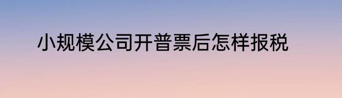 小规模公司开普票后怎样报税