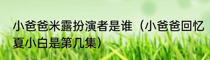 小爸爸米露扮演者是谁（小爸爸回忆夏小白是第几集）