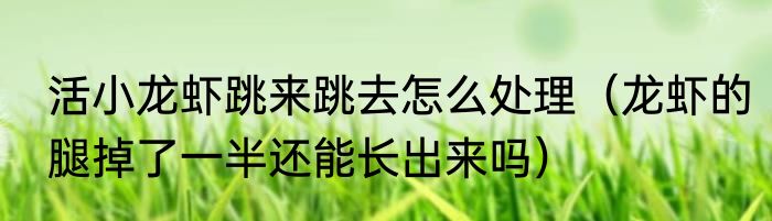 活小龙虾跳来跳去怎么处理（龙虾的腿掉了一半还能长出来吗）