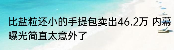 比盐粒还小的手提包卖出46.2万 内幕曝光简直太意外了