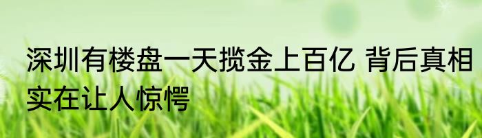 深圳有楼盘一天揽金上百亿 背后真相实在让人惊愕