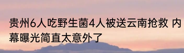 贵州6人吃野生菌4人被送云南抢救 内幕曝光简直太意外了