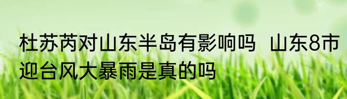杜苏芮对山东半岛有影响吗  山东8市迎台风大暴雨是真的吗