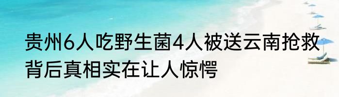 贵州6人吃野生菌4人被送云南抢救 背后真相实在让人惊愕