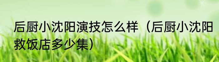 后厨小沈阳演技怎么样（后厨小沈阳救饭店多少集）