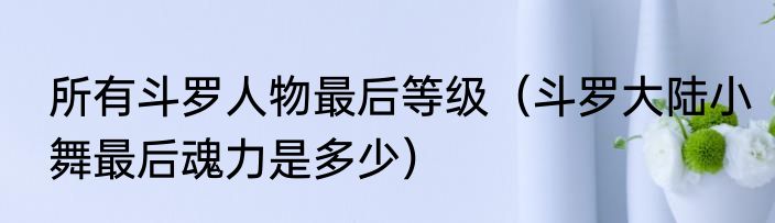 所有斗罗人物最后等级（斗罗大陆小舞最后魂力是多少）
