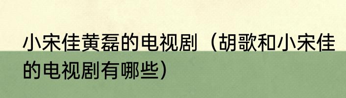 小宋佳黄磊的电视剧（胡歌和小宋佳的电视剧有哪些）