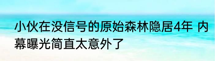 小伙在没信号的原始森林隐居4年 内幕曝光简直太意外了