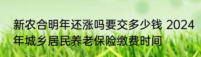 新农合明年还涨吗要交多少钱 2024年城乡居民养老保险缴费时间