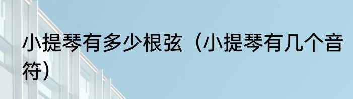 小提琴有多少根弦（小提琴有几个音符）