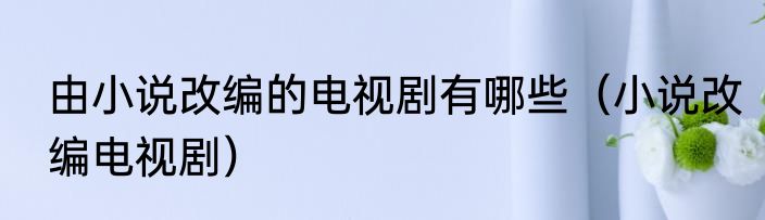由小说改编的电视剧有哪些（小说改编电视剧）