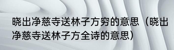 晓出净慈寺送林子方穷的意思（晓出净慈寺送林子方全诗的意思）