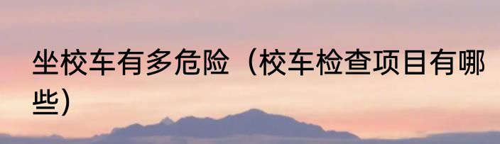 坐校车有多危险（校车检查项目有哪些）