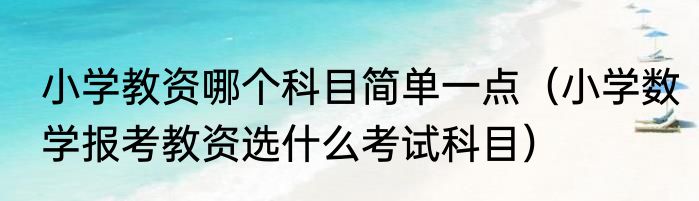 小学教资哪个科目简单一点（小学数学报考教资选什么考试科目）