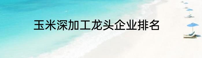 玉米深加工龙头企业排名