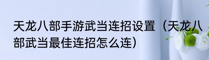 天龙八部手游武当连招设置（天龙八部武当最佳连招怎么连）
