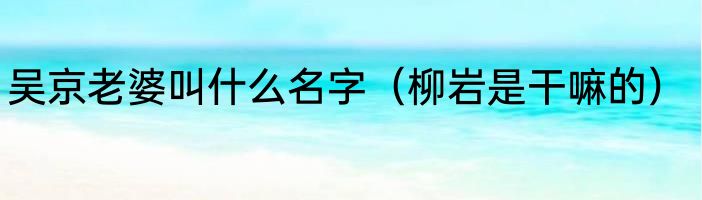吴京老婆叫什么名字（柳岩是干嘛的）