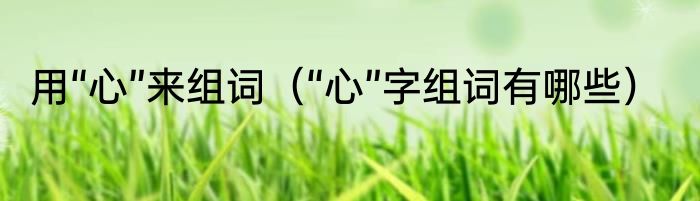 用“心”来组词（“心”字组词有哪些）