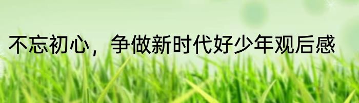 不忘初心，争做新时代好少年观后感